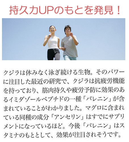 鯨肉は持久力アップのもとになる