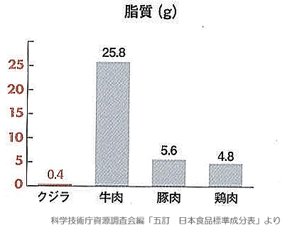 鯨の脂質