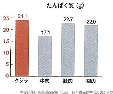 鯨タンパク質